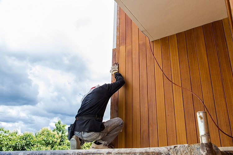 The Best Siding to Battle Pest Invasion - Fiber cement siding contractor - Mares Dow