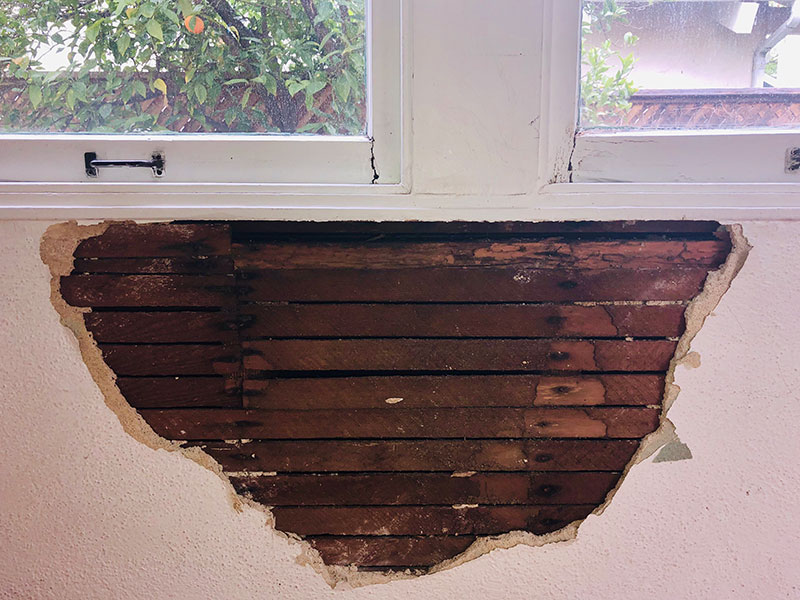 protecting-your-property_Dry-Rot-repair
